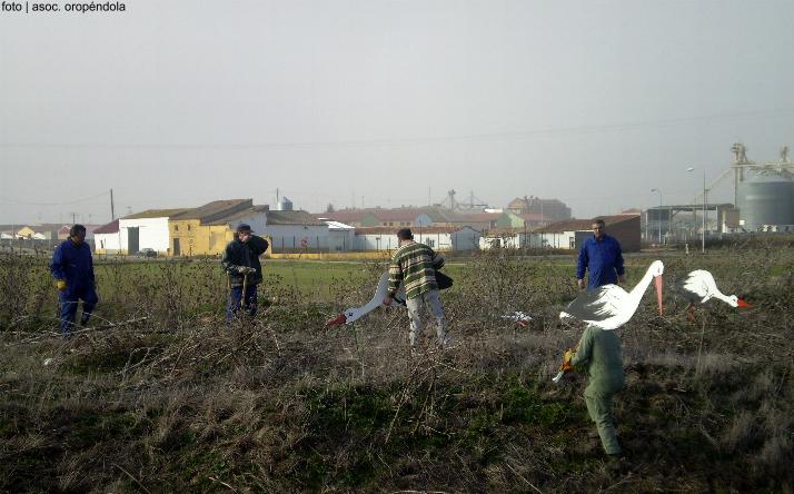 foto de Plataforma Patrimonio