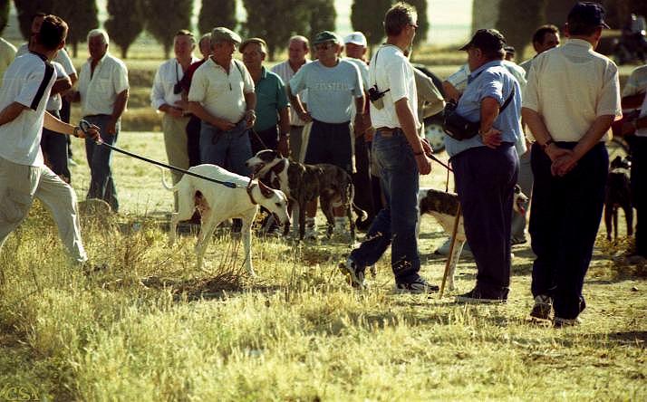 foto de animales