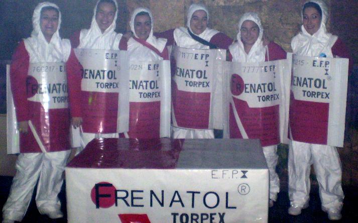 foto de carnavales