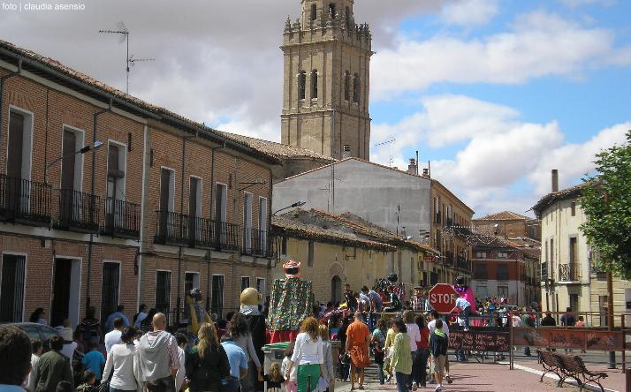 foto de los novillos