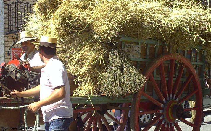 foto de Asoc. El Cribero