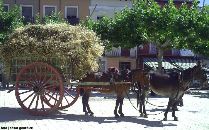 foto de Asoc. El Cribero
