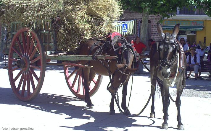 foto de Asoc. El Cribero