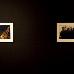 foto de exposiciones