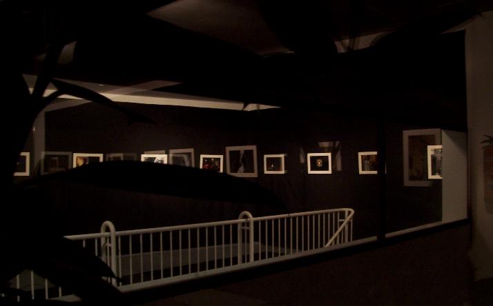 foto de exposiciones