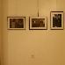 foto de exposiciones