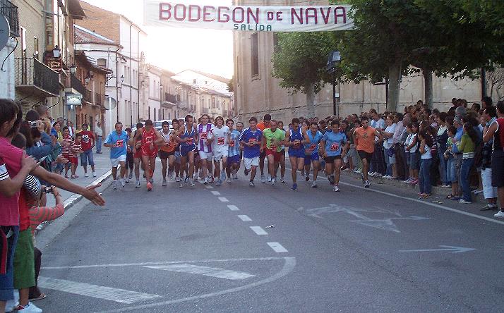 foto de los novillos