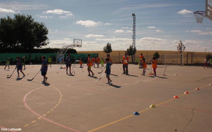 foto de los novillos