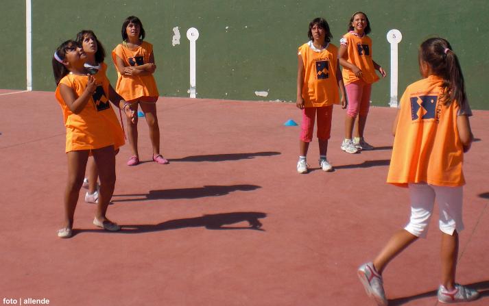 foto de los novillos