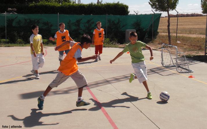 foto de los novillos