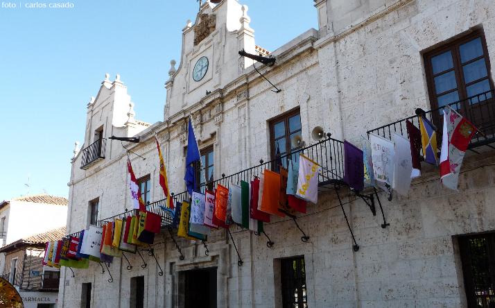 foto de los novillos