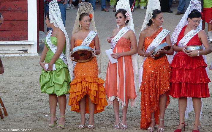 foto de los novillos