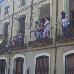 foto de los novillos