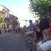 foto de los novillos