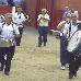 foto de los novillos