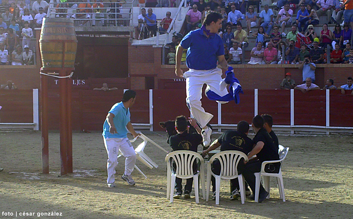 foto de los novillos