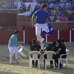 foto de los novillos
