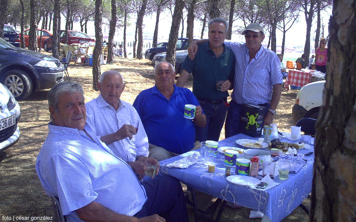 foto de los novillos