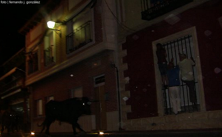 foto de los novillos