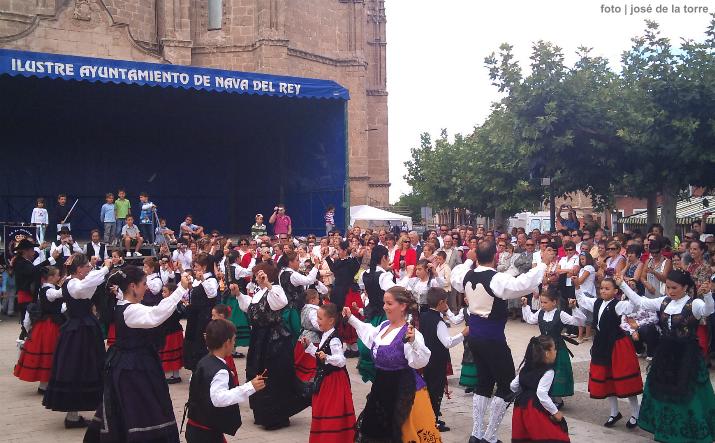 foto de los novillos