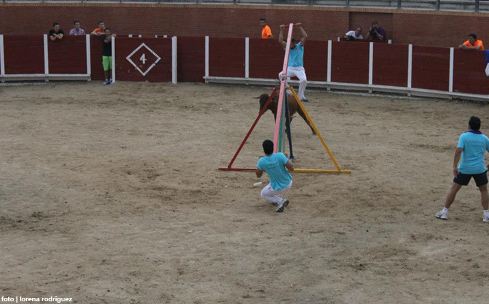 foto de los novillos