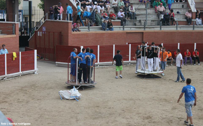 foto de los novillos