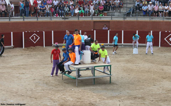 foto de los novillos