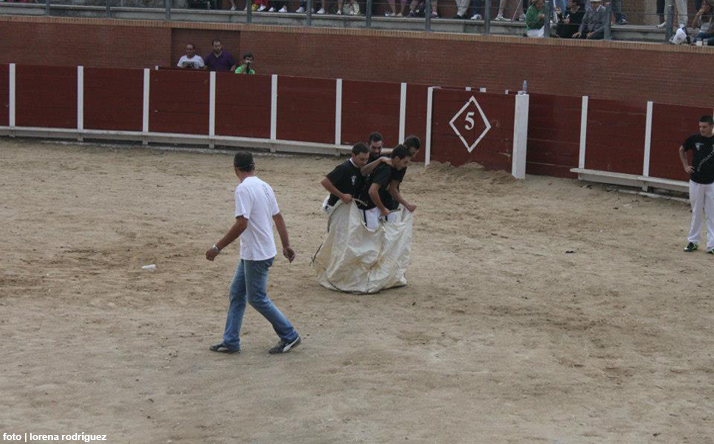 foto de los novillos