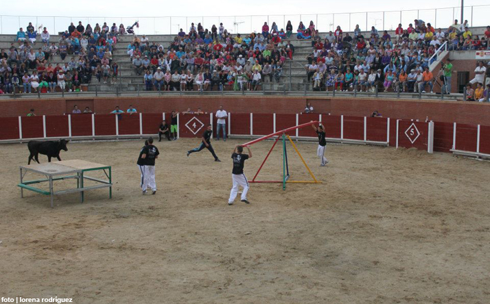 foto de los novillos