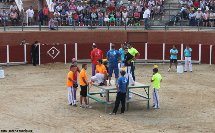 foto de los novillos