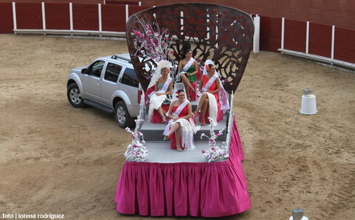 foto de los novillos