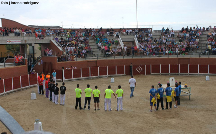 foto de los novillos
