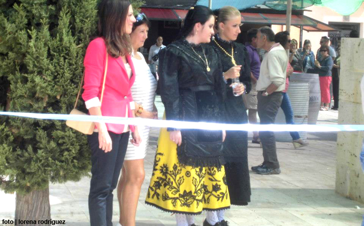 foto de los novillos
