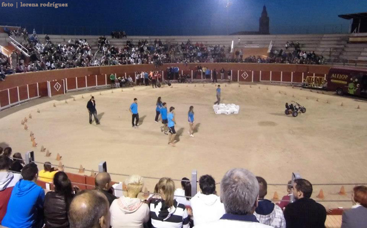 foto de los novillos