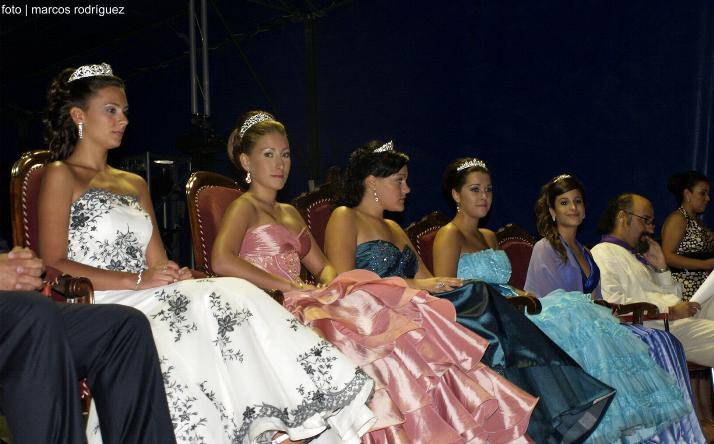 foto de los novillos