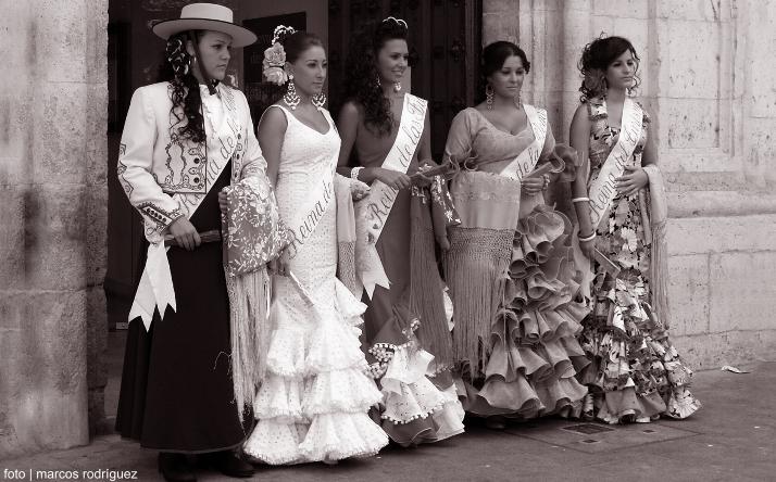 foto de los novillos