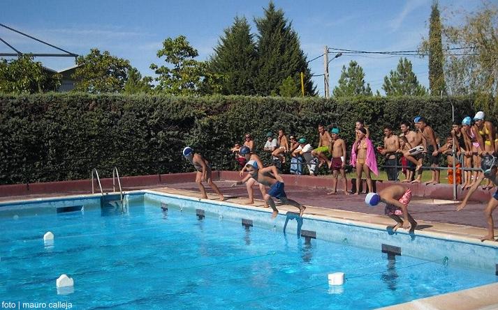 foto de los novillos