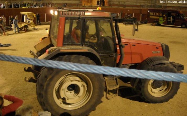 foto de los novillos