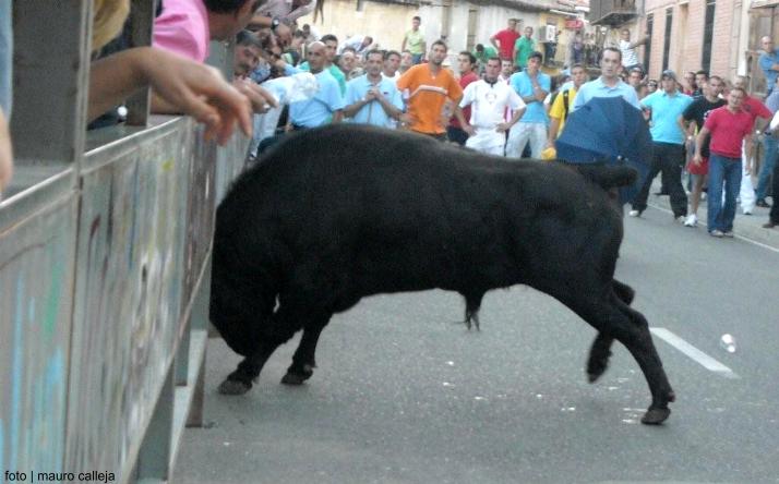 foto de Toro de la Nava