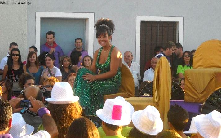 foto de los novillos