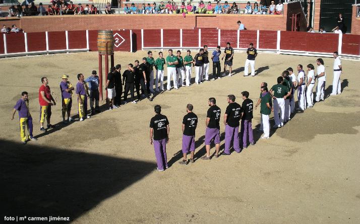 foto de los novillos