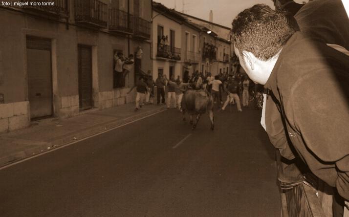 foto de Toro de la Nava