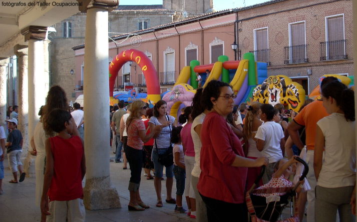 foto de los novillos