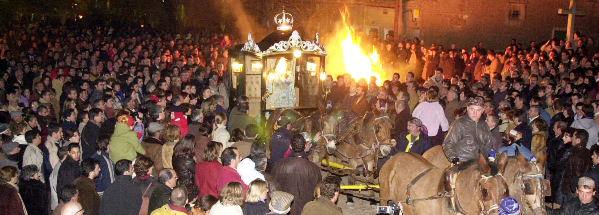 ayuntamiento de nava del rey | valladolid
