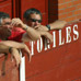 foto de los novillos