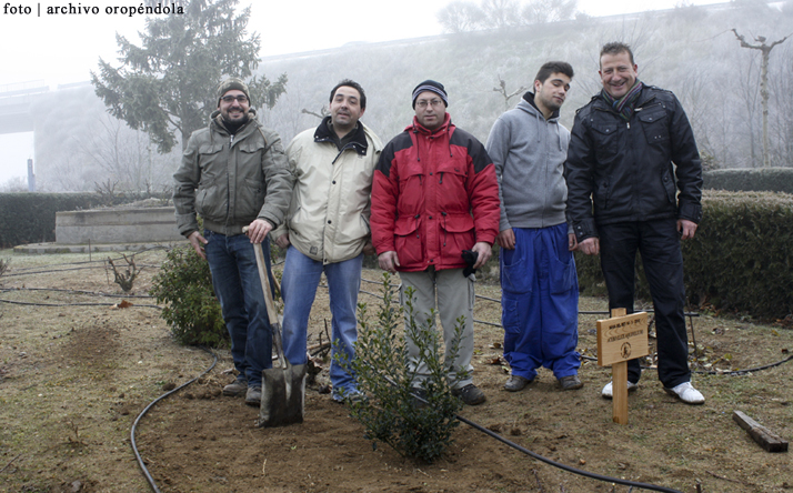 foto de asociacin oropndola