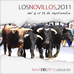 foto de los novillos