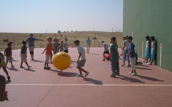 foto de los novillos