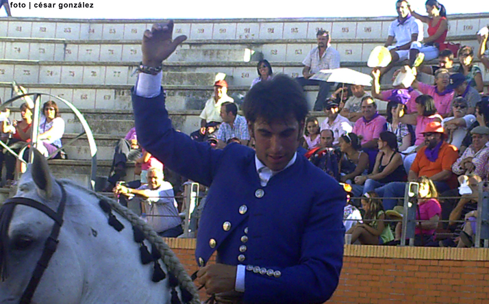 foto de los novillos