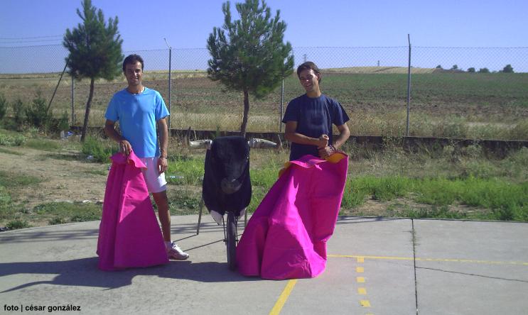 foto de los novillos